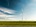 Wind turbines in field under blue sky