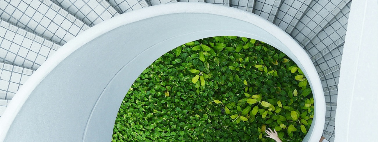 interiors green plants abstract