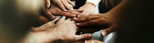 group of people's hands
