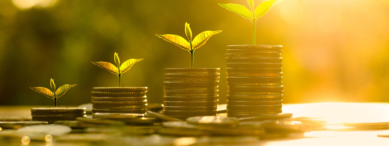 coins stacked with leaves growing on them