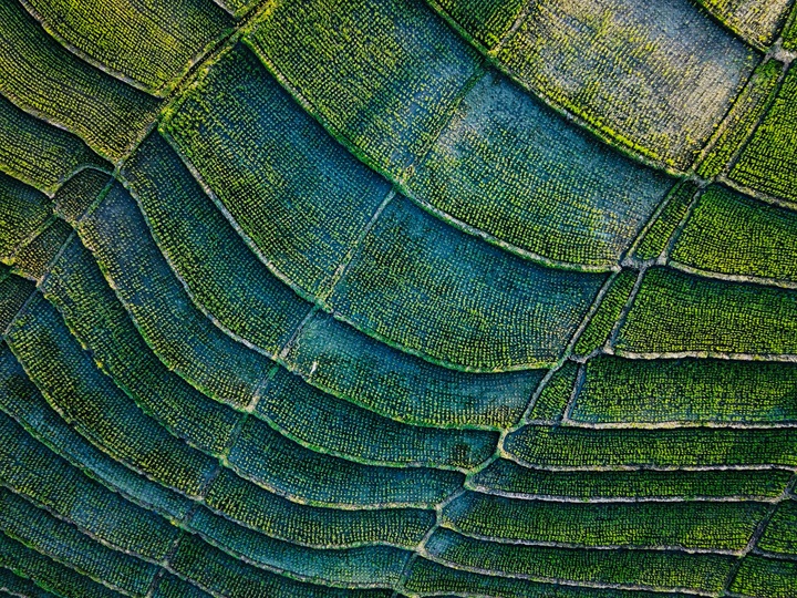 a green and blue field