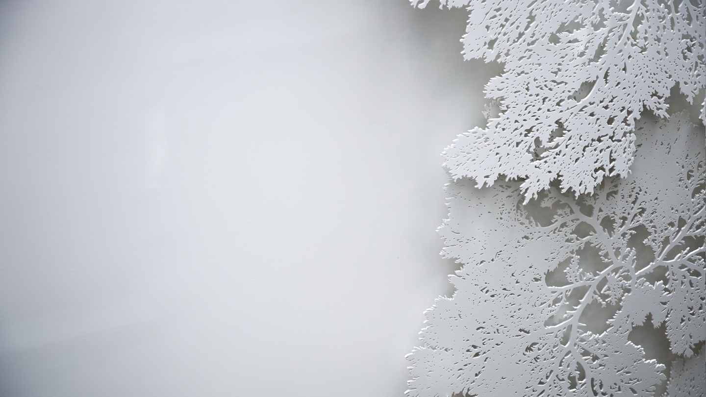 a white background with trees