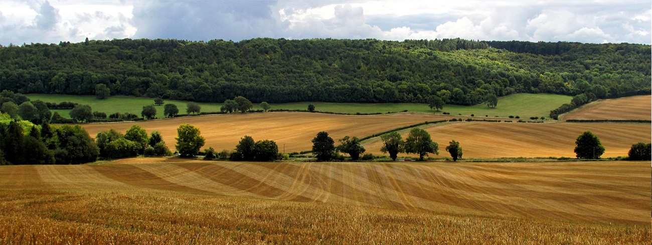 View of english countryside fields